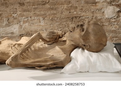 La momia humana en el Museo Quinto