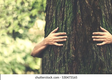 human and nature contact  - Shutterstock ID 530473165