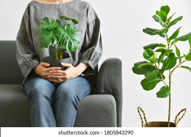 Human And Nature, Houseplants Growing In Living Room For Indoor Air Purification And Home Decorative, Woman Sitting On Sofa With Green Tropical Tree.