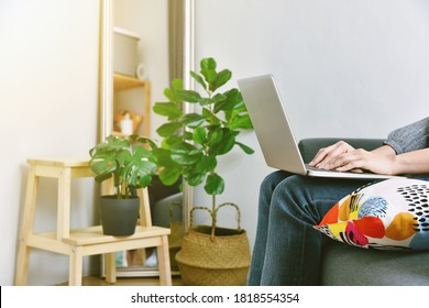 Human And Nature, Houseplants Growing In Living Room For Indoor Air Purification And Home Decorative, Woman Working From Home Surround By Green Tropical Tree.