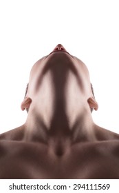 Human neck, showing from the front. The head is tilt to the back 