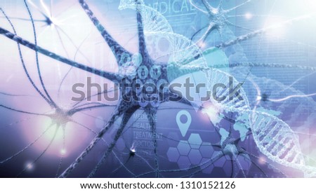 Human Nervous System