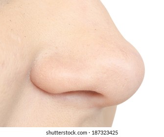 Human Nose Isolated On White Background