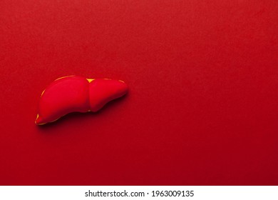 Human organ liver model on red background. Diagnostics and treatment of hepatitis. Copy space for text.