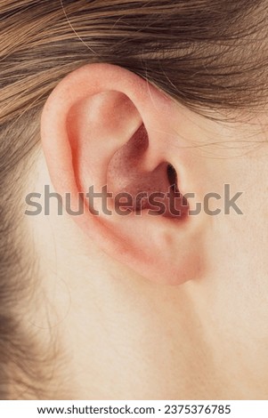 Human outer ear, structure of the auricle, external auditory canal, concept of hearing problems, Anatomy of the auricle cartilage tragus antitragus close-up