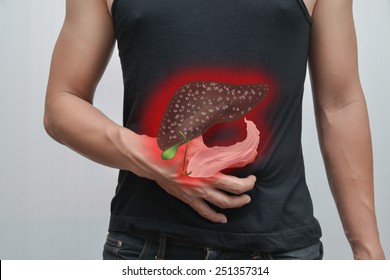  Human Pain Stomach And Liver - Pancreas.