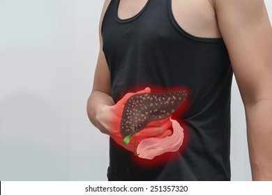  Human Pain Stomach And Liver - Pancreas.