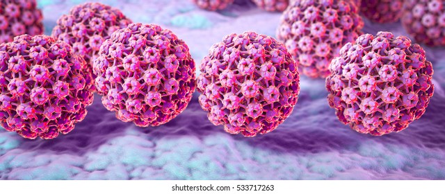 Human papillomaviruses HPV, viruses which causes warts located mainly on hands and feet. Some strains infect genitals and can cause cervical cancer. 3D illustration