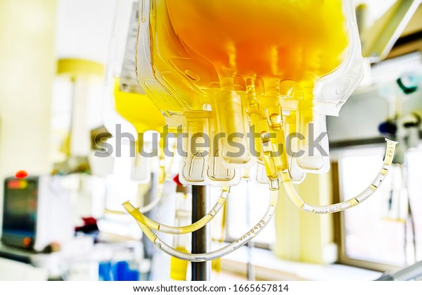 Human plasma for\
covid-19 patients treatment. Close up image of yellow blood product\
in plastic transfer bags.