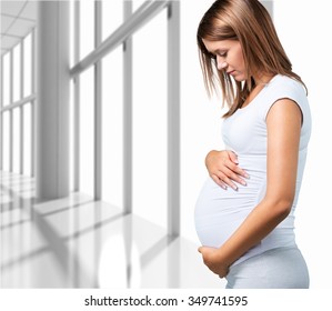 Human Pregnancy.