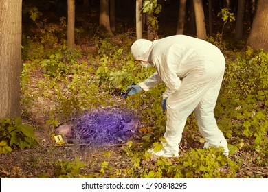 Human Remains Found In Forest - Checking Of Find By Technician With UV Light Source