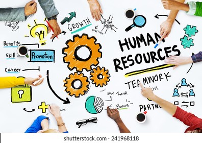 Human Resources Employment Job Teamwork Office Stock Photo 241968118 ...