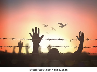 Human Right Day Concept: Silhouette Refugee Hands Raising With Birds Flying And Barbed Wire On Autumn Sunset Background