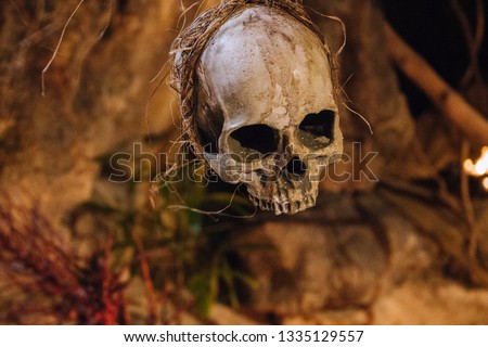 Human scull hanging on rope. Death symbol. Fear and horror concept. Occult decoration for 