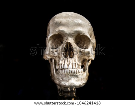 human scull on black isolate show history of human anatomy concept