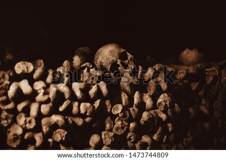 Human sculls in the catacombes