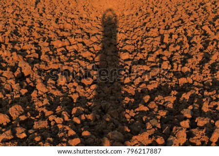 human shadow on soil lump in rice field before plant rice