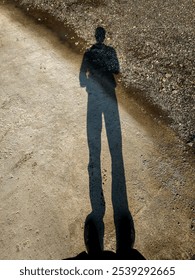 A human shadow was standing