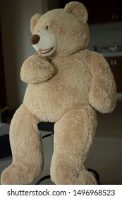 body size teddy bear