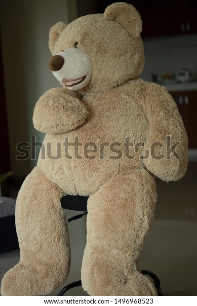 human teddy bear