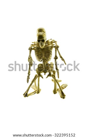 human skeleton model lovers having sex on white background
