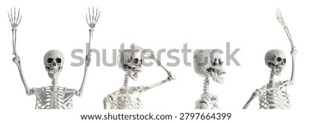 Human skeleton model posing with raised arms and head scratching gesture, anatomical study and medical education