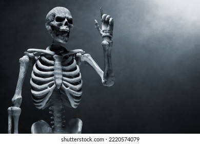 19,902 Human Skeleton Joints Stock Photos, Images & Photography 