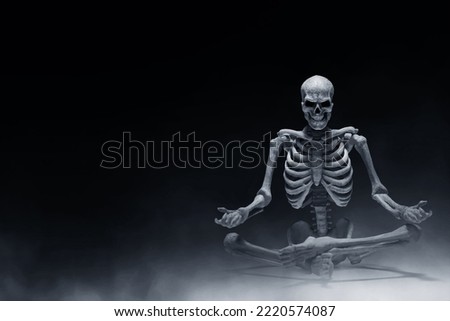Human skeleton on dark background