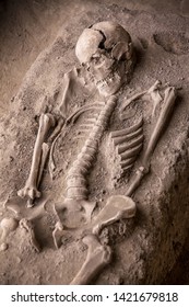 Human Skeleton Remains Of Ancient Roman Soldier On Archaeological Site Excavated From Shallow Grave