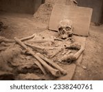 human skeleton and skull found by archeological excavation in Viminacium, Serbia. human skeleton in close-up