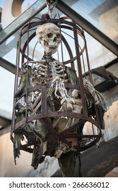 human skeleton steel cage for torture