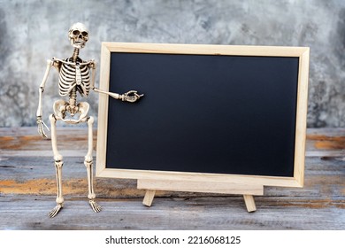 Human skeleton teacher with a gesture that conveys an explanation of something and blackboard background copy space leave blank for write anything. - Powered by Shutterstock