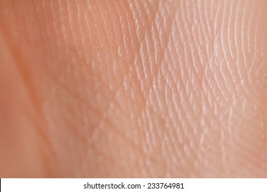 Human Skin Close Up