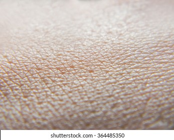 Human skin. Macro photo. Close up.