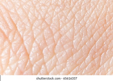 Human skin super macro texture.