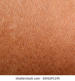 Human Skin Texture