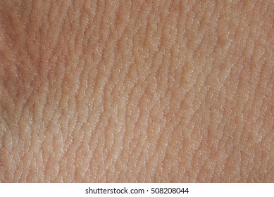 Human Skin Texture Close Up. Macro Of Brown Young Person Clean Skin