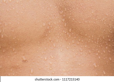 Human Skin,male Sweaty Torso Close Up Of Sweat Building Up In A Man’s Body After Hard Work