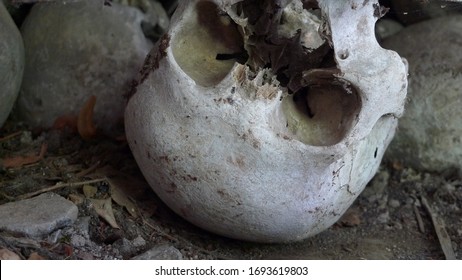 Human Skull In Ancient Crypt, Ossuary, Death Cult