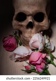 Human skull and beautiful pink roses, Gothic style, dark romance. - Shutterstock ID 2256249921