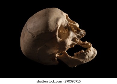 Human Skull with black background