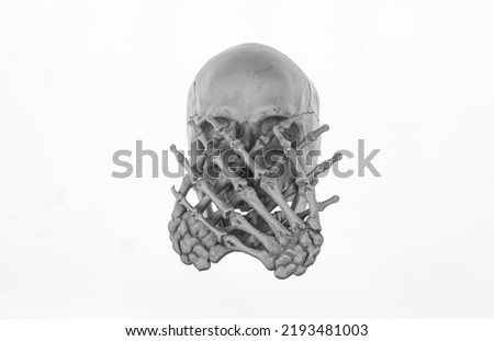 human skull and bones brush isolated on white background