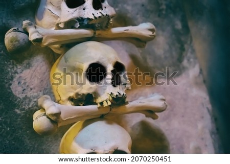 human skull and bones close up selective focus close up