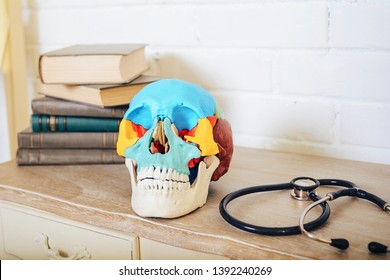 A Human Skull With Books And A Stethoscope On The Shelf.