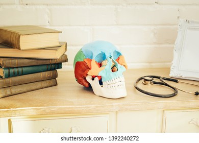 A Human Skull With Books And A Stethoscope On The Shelf.