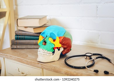 A Human Skull With Books And A Stethoscope On The Shelf.