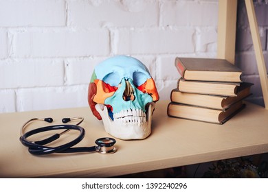 A Human Skull With Books And A Stethoscope On The Shelf.