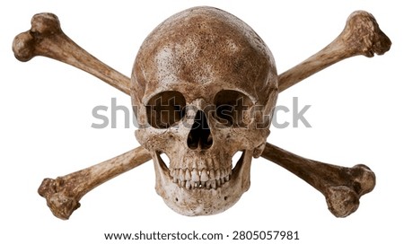 Human skull with crossed bones representing a classic pirate danger symbol