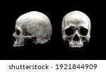Human skull in different angles. Isolated on black background. Side and front views. Anatomy and medicine concept.