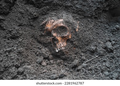 Human skull in the ground